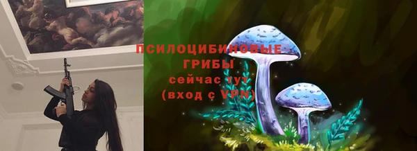 круглые Вяземский