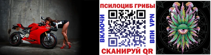 Псилоцибиновые грибы ЛСД  купить закладку  Альметьевск 